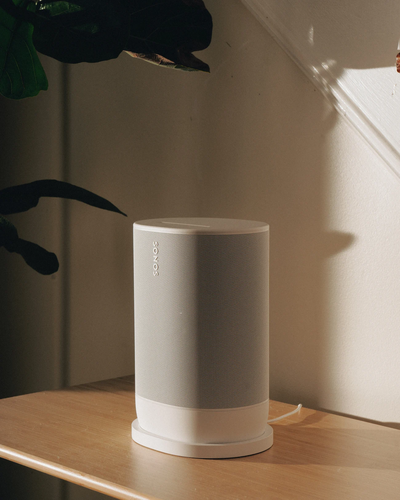 The same speaker close up on the console, low sun raking across the perforated grille and throwing the plant shadow onto the wall