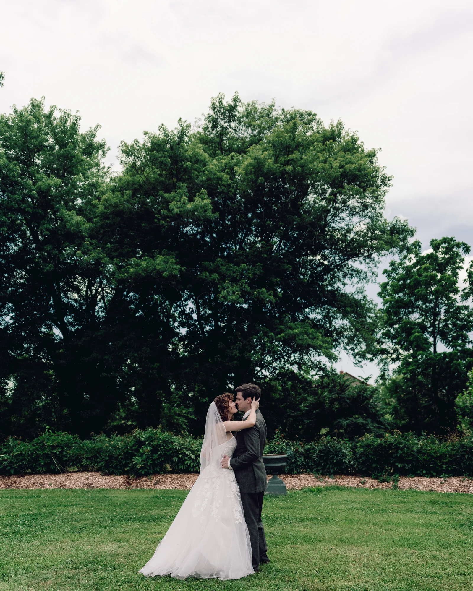 The bride and groom kissing on the lawn beneath a huge summer tree