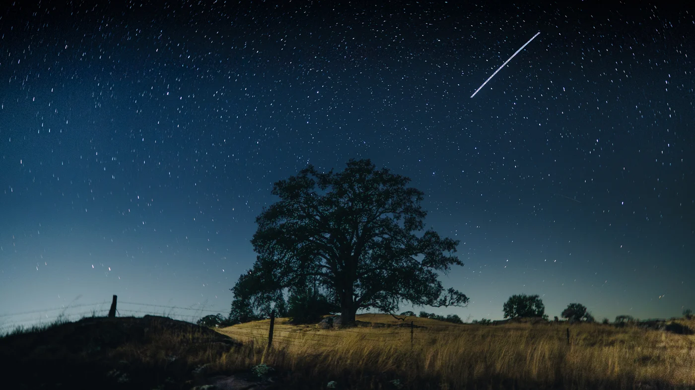 A lone oak on a grassy hill under a star filled sky, a satellite streaking through