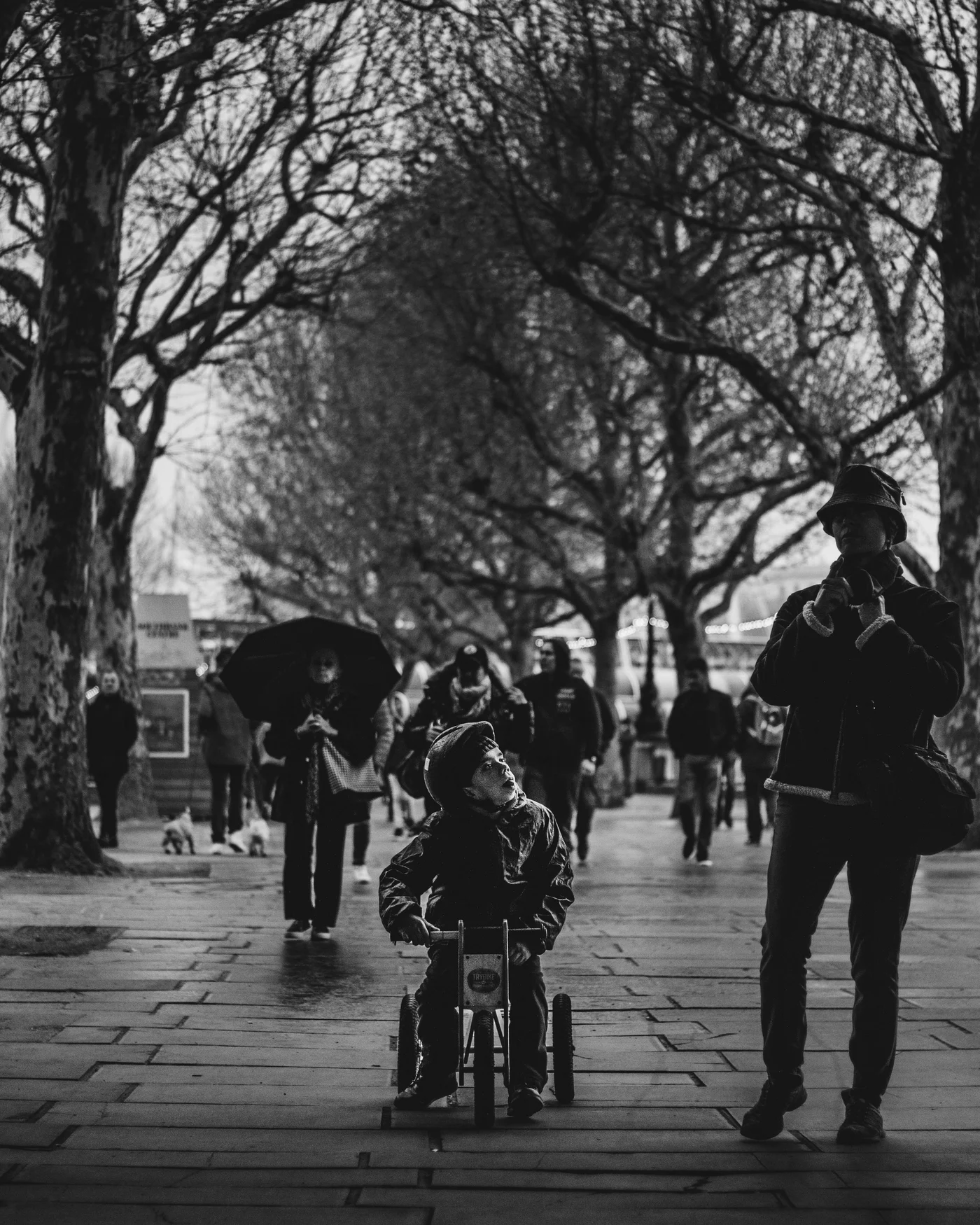A small boy on a balance bike looks up at a passerby beneath bare plane trees, in black and white