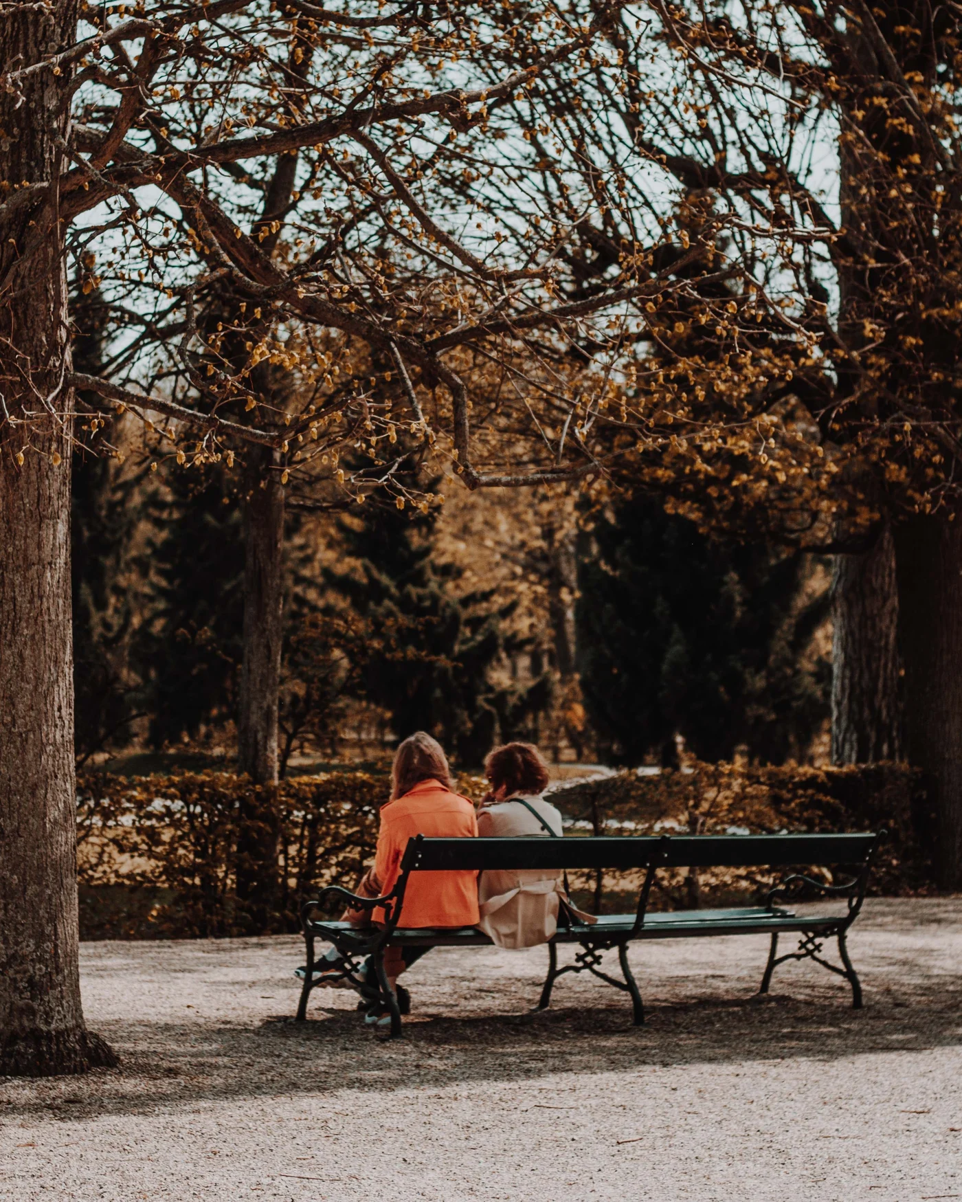 Two friends share a park bench beneath golden autumn branches, one in bright orange