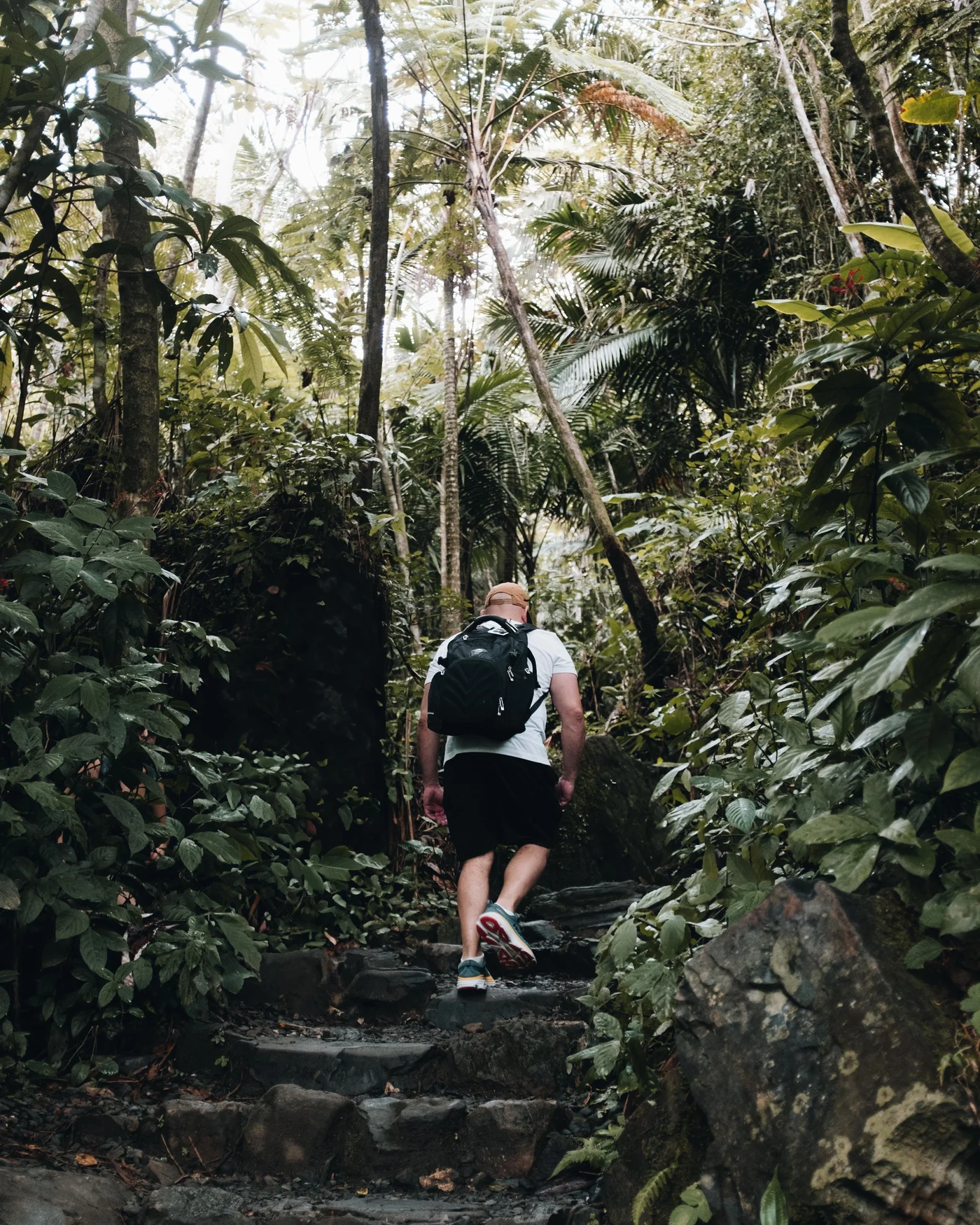 A hiker with a black backpack climbing stone steps into thick jungle