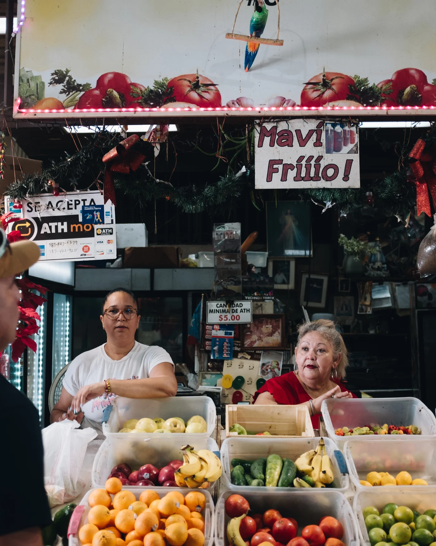 Two vendors waiting behind bins of fruit beneath a hand lettered Mavi Friiio sign