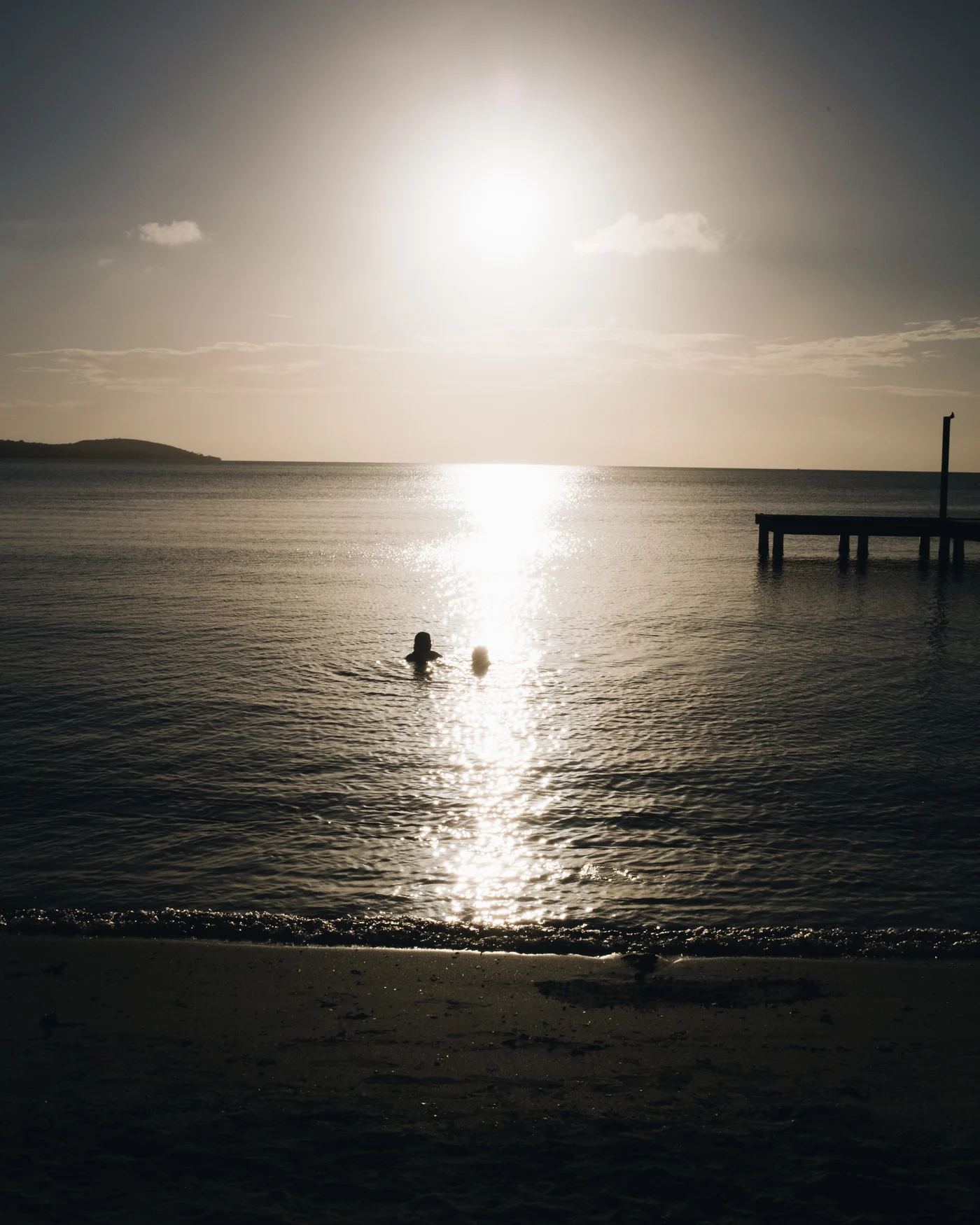 Two heads bobbing in a calm sea, the sun burning a silver path across the water